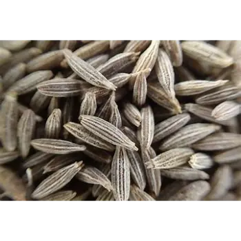 Cumin Seeds
