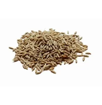 Fresh Cumin Seeds