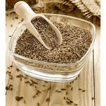 Fresh Cumin Seeds