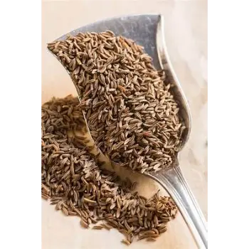 Fresh Cumin Seeds