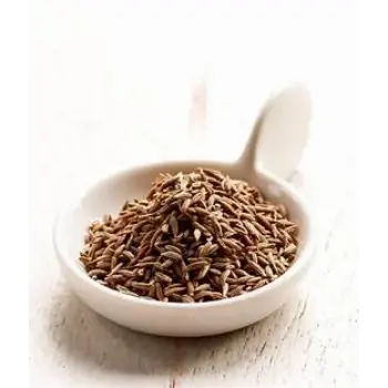 Fresh Cumin Seeds