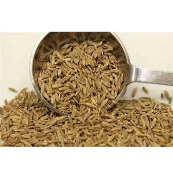 Fresh Cumin Seeds