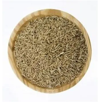 Fresh Cumin Seeds