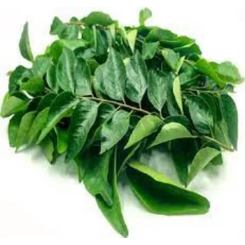 Dried Curry  Leaves