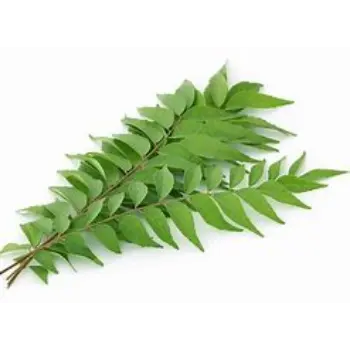 Natural Curry Leaves
