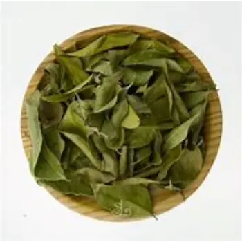 Common Curry Leaves