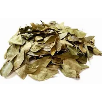 Curry Leaves