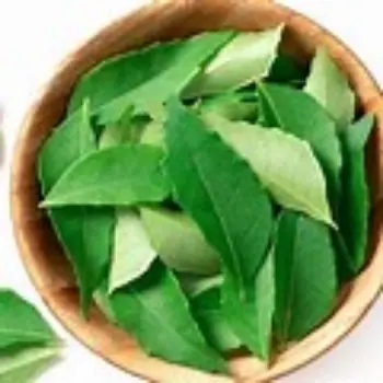 Organic Curry Leaves