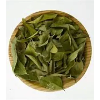 Curry Leaves