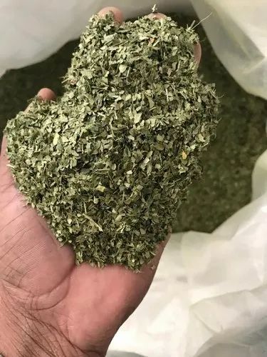 Natural Curry Leaves