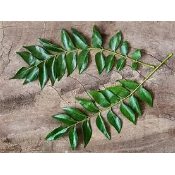 Curry Leaves