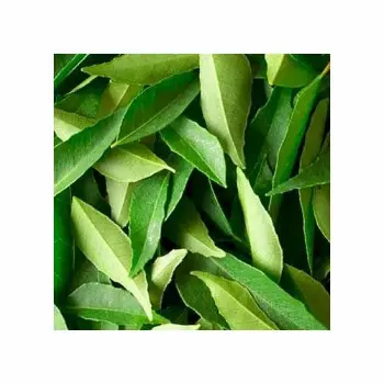 Curry Leaves