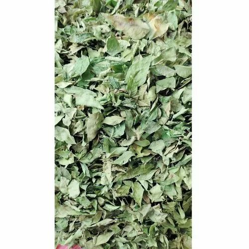 Natural Curry Leaves