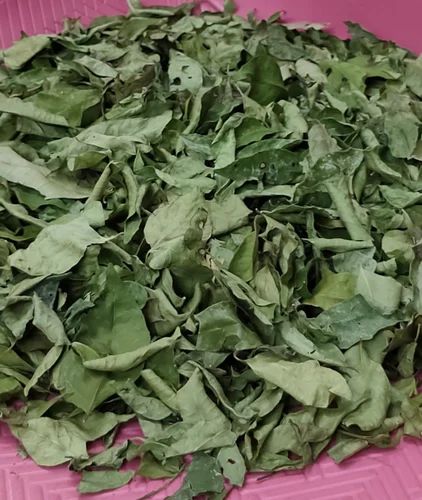 Organic  Curry Leaves