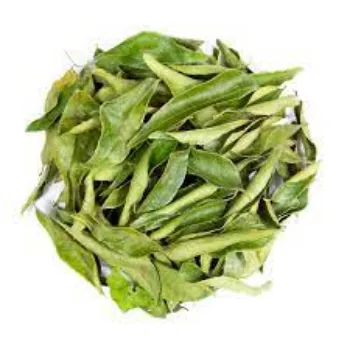 Natural Curry Leaves