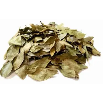 Curry Leaves