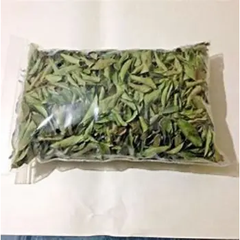 Fresh Curry Leaves