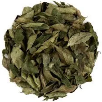 Organic Curry Leaves