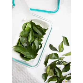 Fresh Curry Leaves