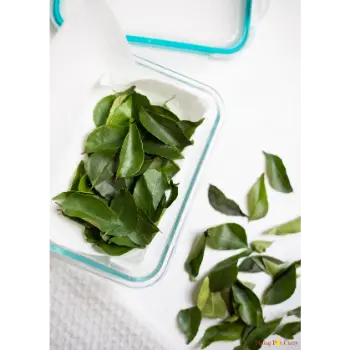 Natural Curry Leaves