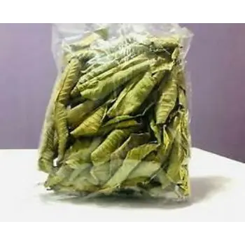 Fresh Curry Leaves