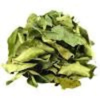 Organic Curry Leaves