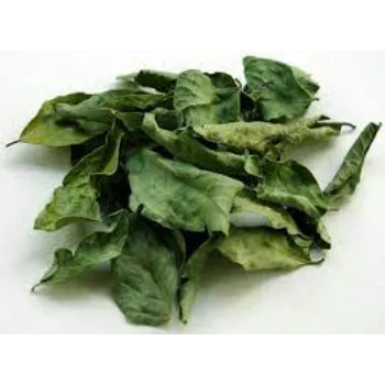 Dehydrated Curry Leaves