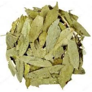 Common Curry Leaves