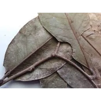 Dry Curry Leaves