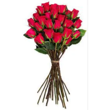 Natural Cut Flowers