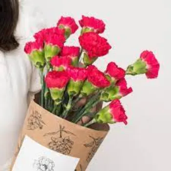Organic Cut Flowers