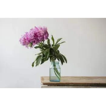 Fresh Cut Flowers