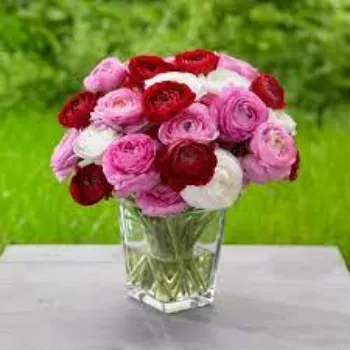 Fresh Cut Flowers