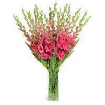 Organic Cut Flowers