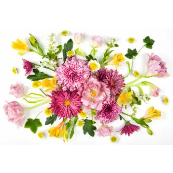 Cut Flowers
