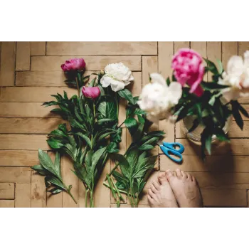 Cut Flowers