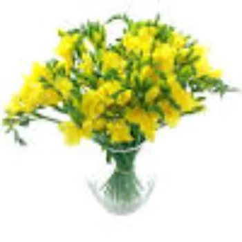 Rare Cut Flowers