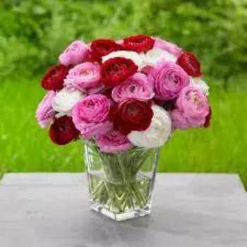 Fresh  Cut Flowers