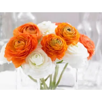 Natural  Cut Flowers