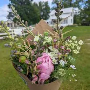 Cut Flowers
