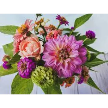 Fresh Cut Flower
