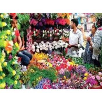 Organic Cut Flowers
