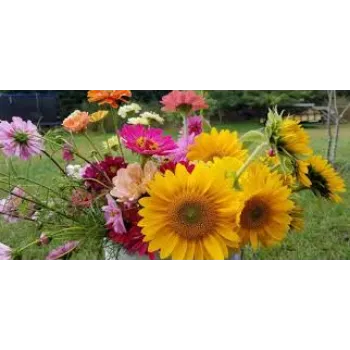 Fresh Cut Flowers