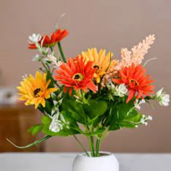 Natural   Daisy Flower