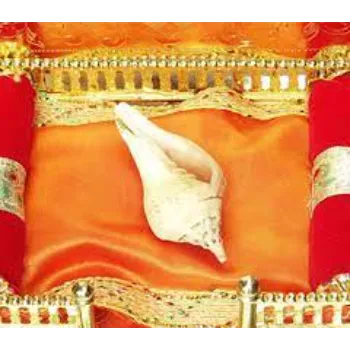 Dakshinavarti Shankh