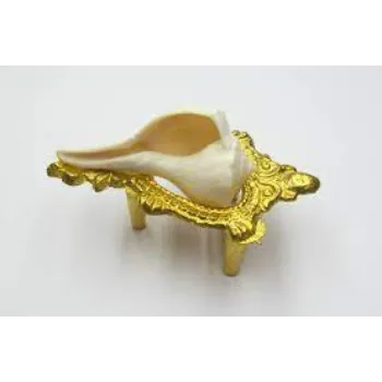  Lorfy Dakshinavarti Shankh