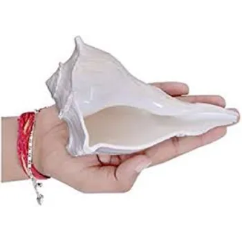 Agarwal Dakshinavarti Shankh