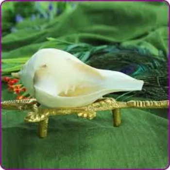 Good Dakshinavarti Shankh