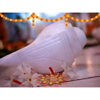 Dakshinavarti Shankh For Religious Place
