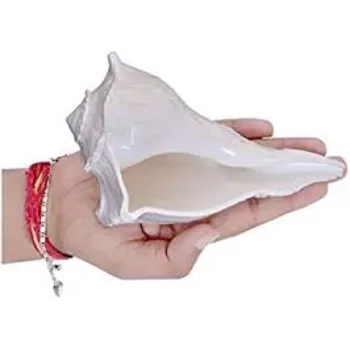 High Quality Dakshinavarti Shankh